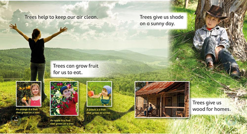 Literacy Tower - Level 11 - Non-Fiction - Save Trees Plant Trees - Pack of 6 2770000031806
