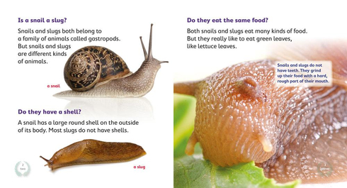 Literacy Tower - Level 12 - Non-Fiction - Is A Snail A Slug? - Pack of 6 2770000031844