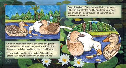 Literacy Tower - Level 17 - Fiction - Do Not Feed The Ducks - Pack of 6 2770000032063