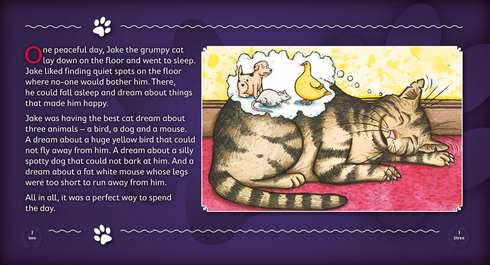 Literacy Tower - Level 20 - Fiction - Jake Hates The Cat Box - Single 9781776500970