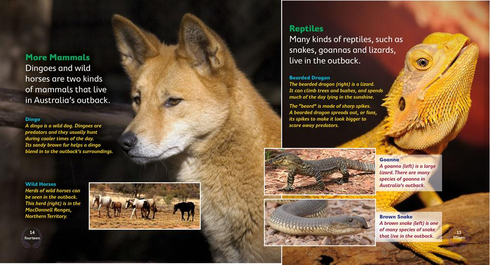 Literacy Tower - Level 20 - Non-Fiction - Australias Outback - Single 9781776501007
