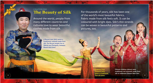 Literacy Tower - Level 21 - Non-Fiction - The Story Of Silk - Single 9781776501274