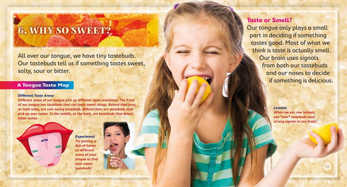 Literacy Tower - Level 21 - Non-Fiction - Sugar: Good Or Bad? - Single 9781776501267
