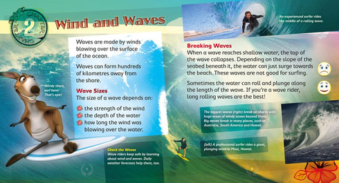 Literacy Tower - Level 23 - Non-Fiction - Wave Riders - Single 9781776501335