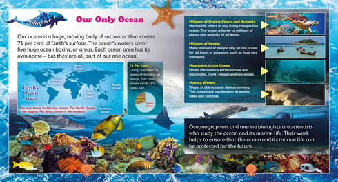 Literacy Tower - Level 25 - Non-Fiction - Our One Ocean - Single 9781776501397