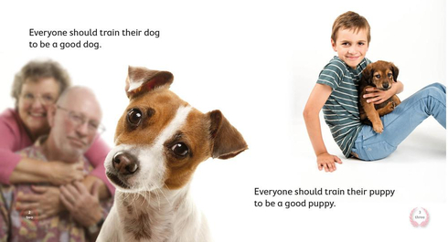 Literacy Tower - Level 4 - Non-Fiction - Train Your Dog - Pack of 6 2770000031455