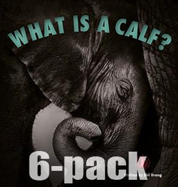 Literacy Tower - Level 5 - Non-Fiction - What Is A Calf? - Pack of 6 2770000031509