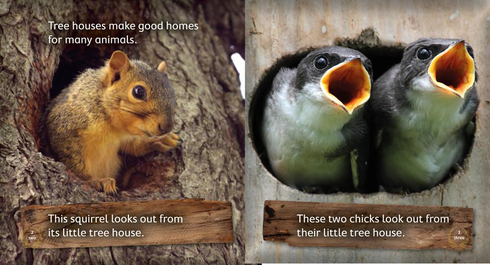 Literacy Tower - Level 6 - Non-Fiction - Treehouses - Single 9781776500314