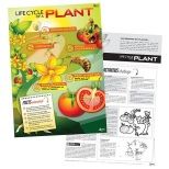 Life Cycle Poster Set of 4 2770000007863
