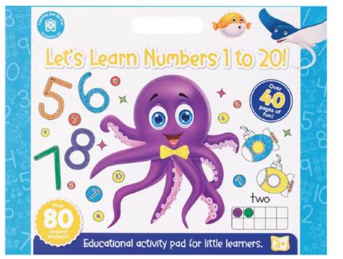Let's Learn Numbers 1 to 20! Activity Pad