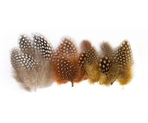 Feathers 100g Guinea Fowl Natural Approx 100PCS