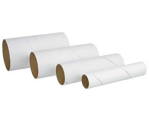 Cardboard Tubes 60PCS 10cm Long Asst Diameters
