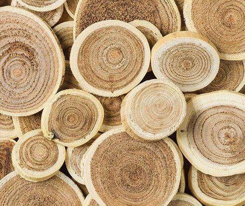 BRANCH PIECES ROUND  ASST 100G