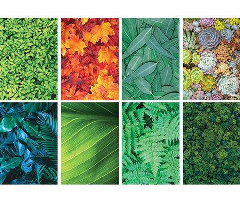 PATTERN PAPERS A4 40S FOLIAGE