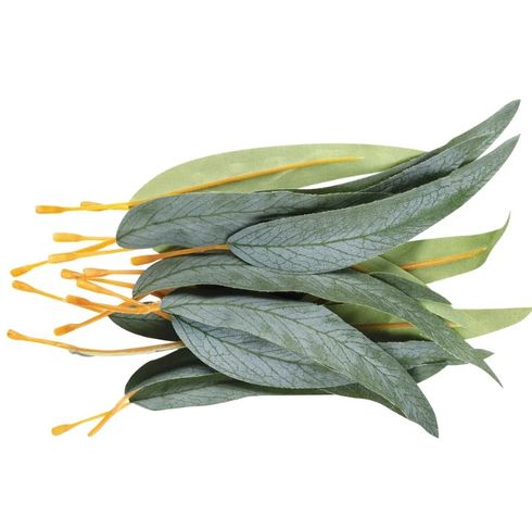 Gum Leaves 50PCS