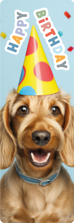  Birthday - Bookmarks (Pack of 35)