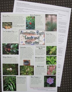 Poster Bush Food A3 300 x 420mm Double Sided 2770000043779