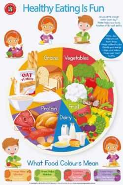 Learning Can Be Fun Healthy Eating Double-sided Chart