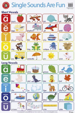 Learning Can Be Fun Single Sounds Are Fun Double Sided Chart