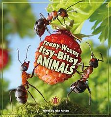 Literacy Tower - Level 23 - Non-Fiction - Teeny-Weeny Itsy-Bitsy Animals - Single 9781776501465