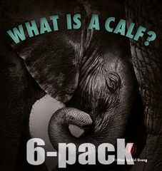 Literacy Tower - Level 5 - Non-Fiction - What Is A Calf? - Pack of 6 2770000031509