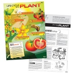 Life Cycle Poster Set of 4 2770000007863
