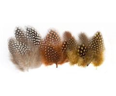 Feathers 100g Guinea Fowl Natural Approx 100PCS