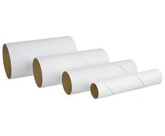 Cardboard Tubes 60PCS 10cm Long Asst Diameters