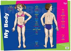 Chart My Body  9781920926427