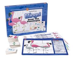 Beat The Flamingo Equivalence Bingo!  9314289034016