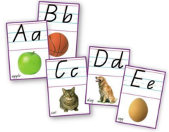 Cards – A5 Alphabet Qld Beginner’s (with arrows)