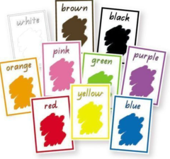 Cards – A5 Colours Qld Beginners