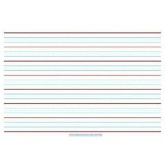 Chart - A2 Writing Chart QLD Ruled Double Sided Laminated 9781920977320