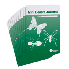Mini Beasts Journal - Pack of 10 KB2911J